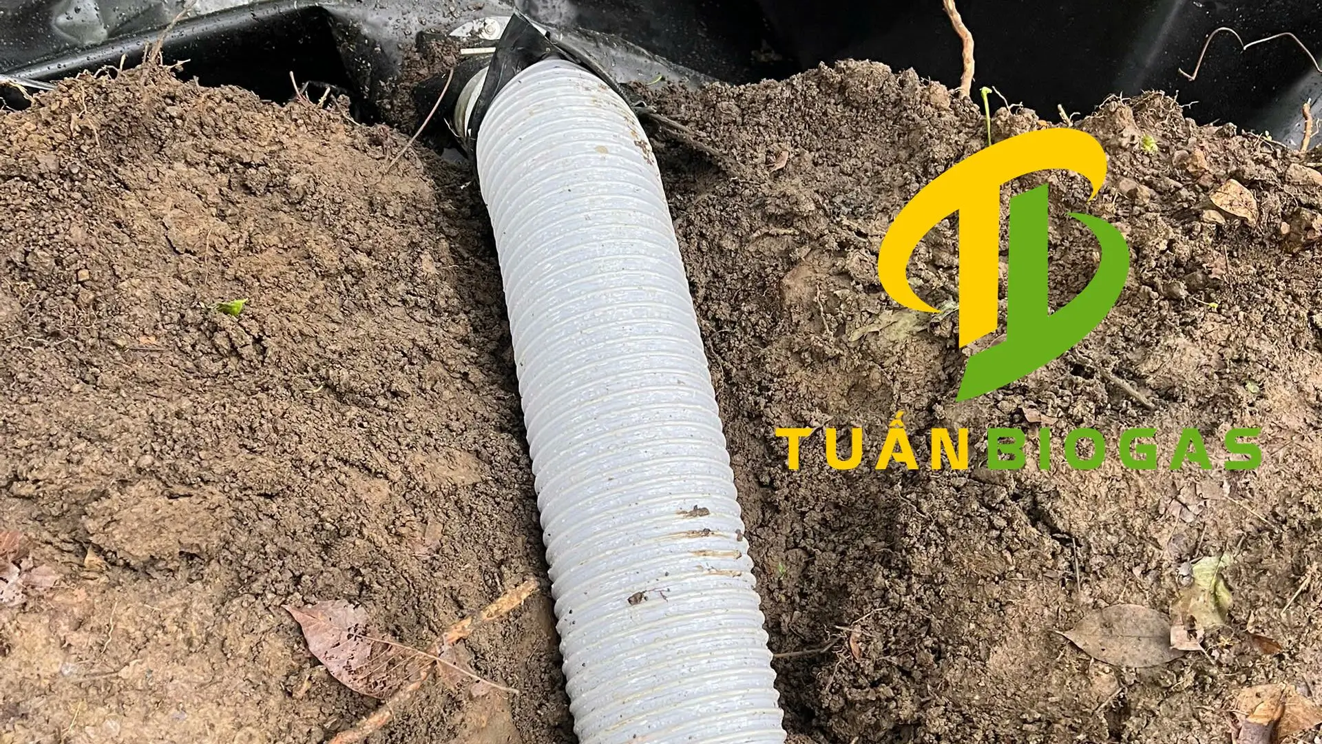 Ống ruột gà mềm dẻo được lắp tại điểm nối của túi biogas nổi trên ao