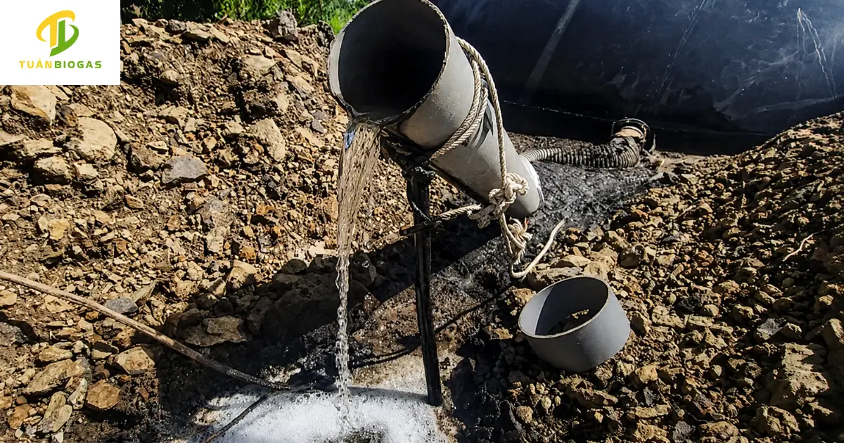 So sánh dòng phân tươi hôi thối và nước thải sau túi biogas trong sạch