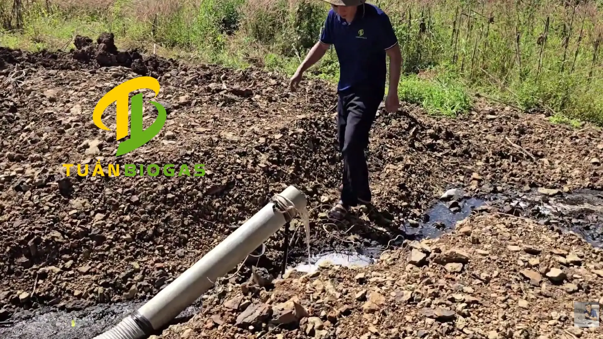 Nước bã thải sau túi biogas tròn được dẫn ra tưới vườn cây ăn trái và cỏ voi