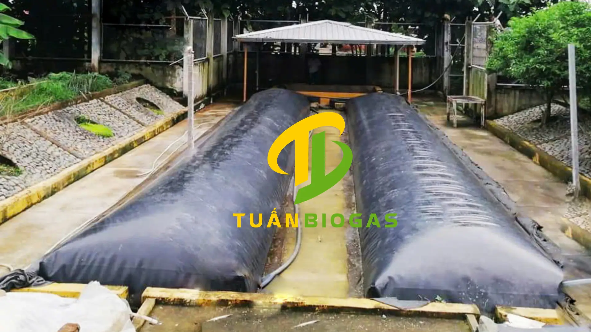 Túi biogas vuông lắp đặt hoàn thiện tại vườn nhà của hộ nông dân