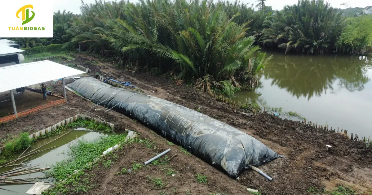 Mô hình túi biogas tròn trang trại giúp tiết kiệm hàng trăm triệu đồng chi phí