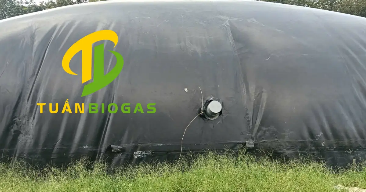 Đầu ống hút được lắp sẵn trên túi biogas theo yêu cầu để hút bã thải bằng máy sau này
