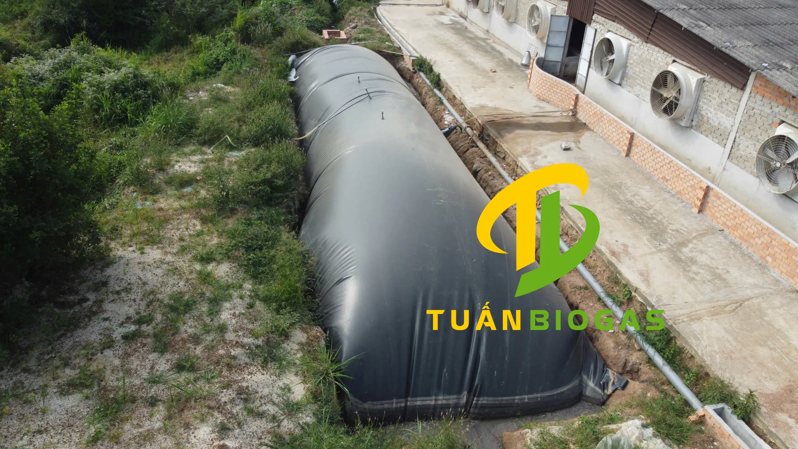 túi biogas trang trại