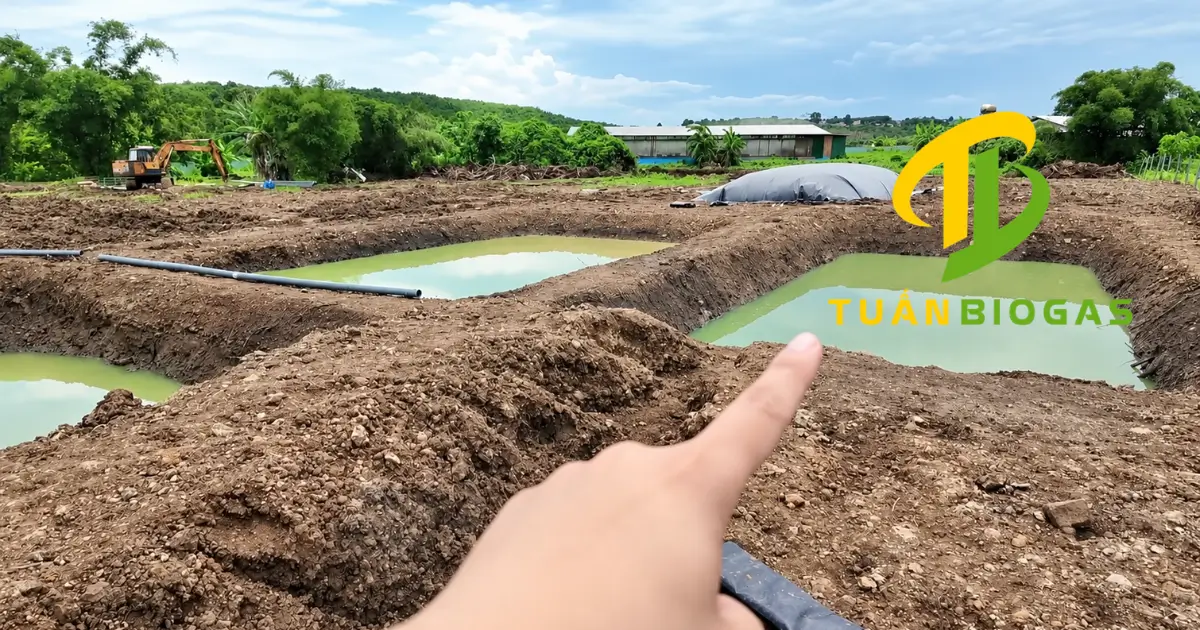 Hố sinh học chứa nước thải sau khi qua túi biogas xử lý tại trang trại chăn nuôi