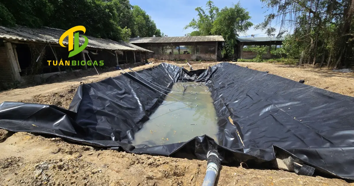 Hố taluy với thành hố vát dốc phù hợp thi công tại vùng đất yếu mùa mưa