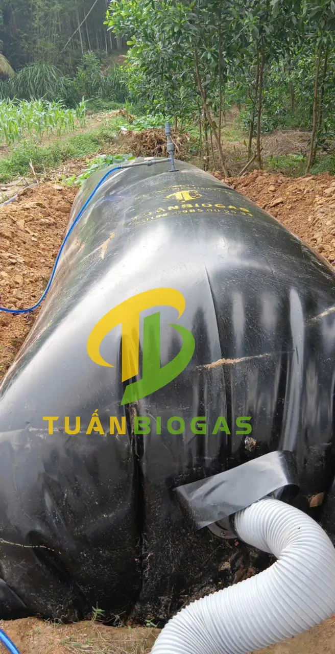 Túi biogas xử lý chất thải chăn nuôi cho nông hộ nhỏ