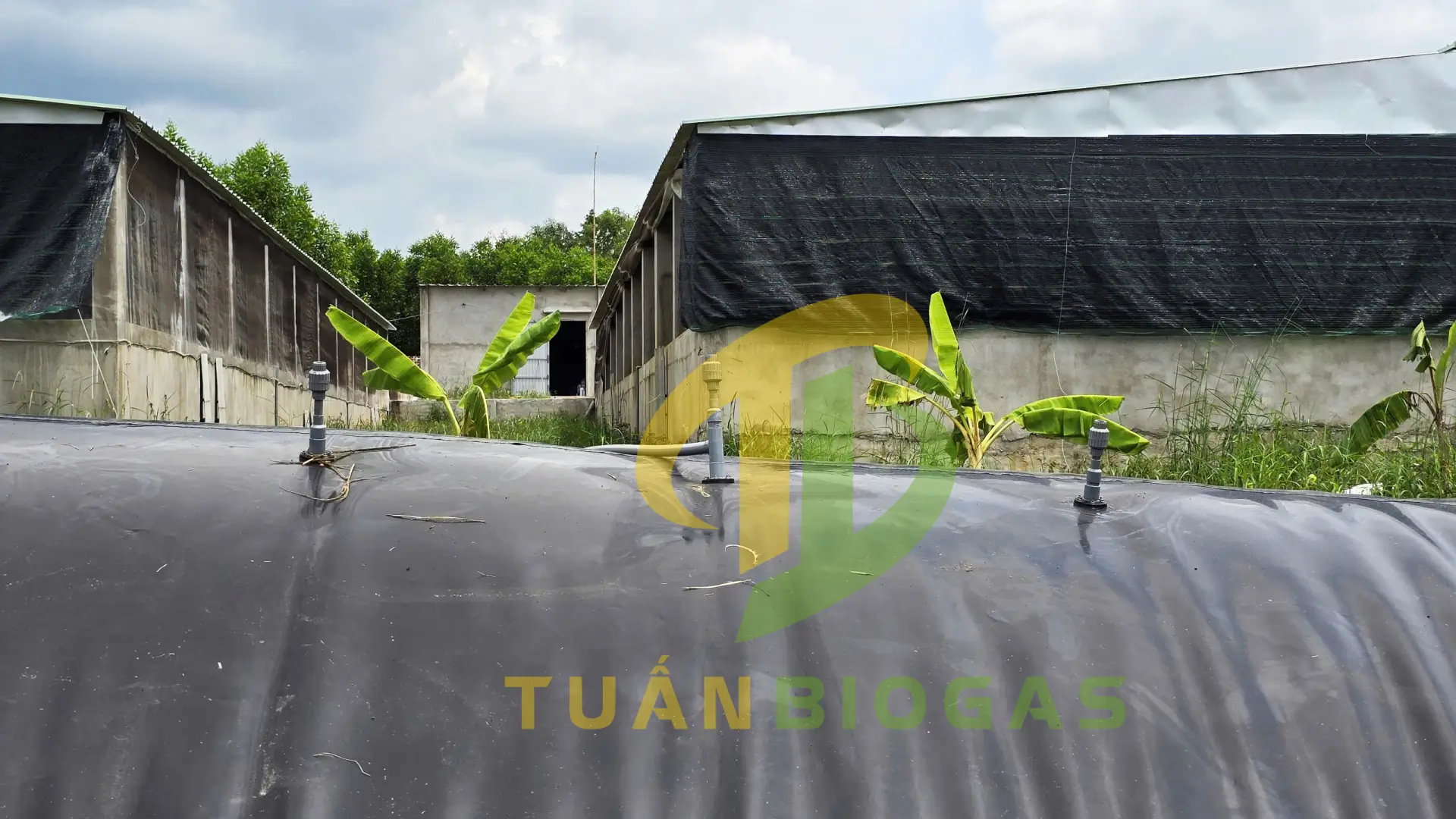 Cơ chế van tự xả lò xo inox trên đỉnh túi biogas hoạt động độc lập