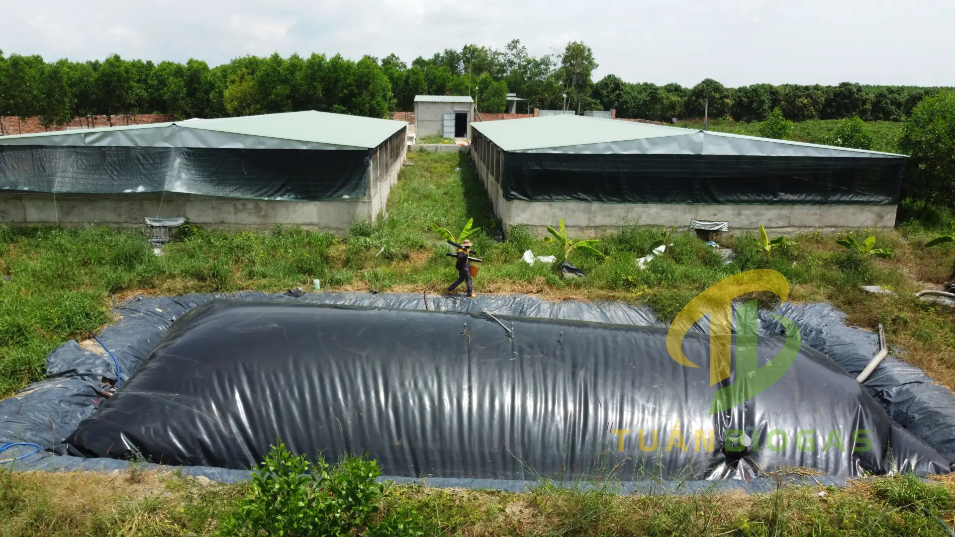 Bảng quy đổi số heo sang lượng biogas, điện năng và số giờ chạy máy phát