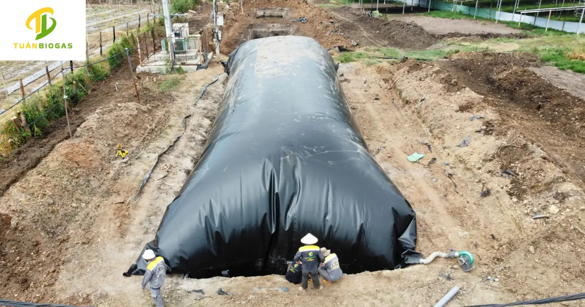 Kỹ thuật viên Tuấn Biogas đồng hành nghiệm thu công trình tại trang trại