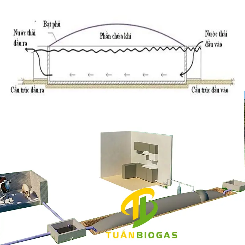 Sơ đồ tỷ lệ phần xử lý chất thải và phần chứa khí trong túi biogas 70 khối