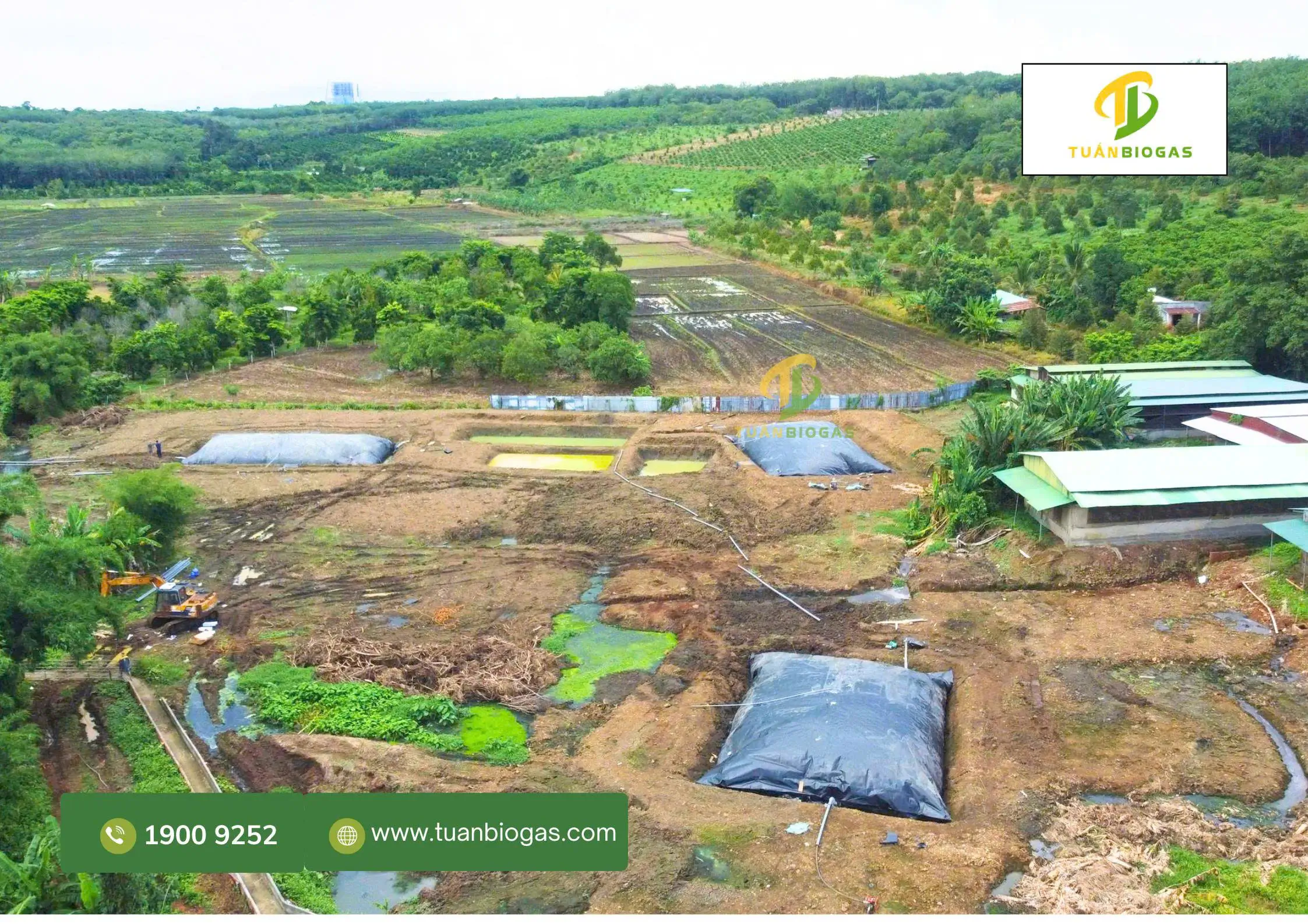 Sơ đồ bố trí hố sinh học phía sau các túi biogas trong trang trại chăn nuôi