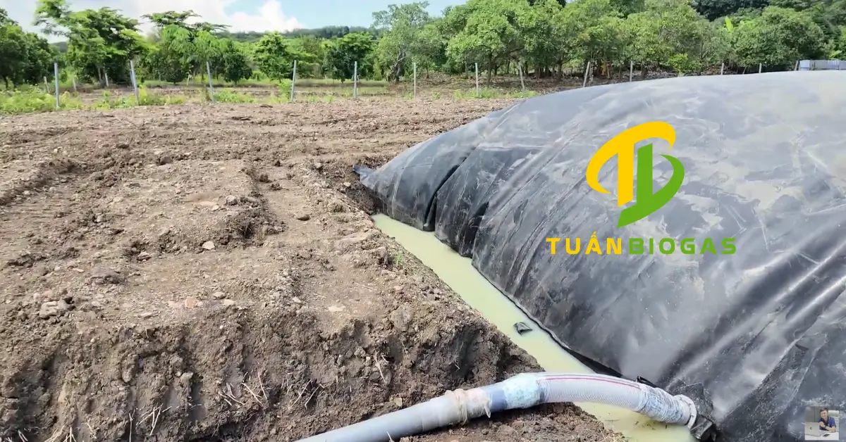Kỹ thuật viên điều chỉnh độ cao ống ruột gà để khống chế mực nước trong túi biogas