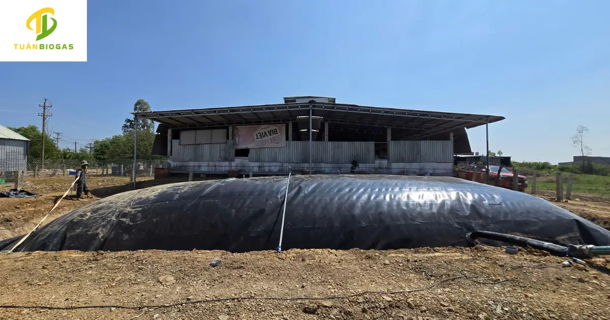 Túi biogas tròn trang trại bạt HDPE dẻo dai đàn hồi tuyệt đối trên mặt đất