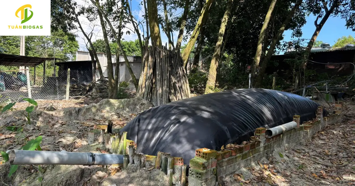 Túi biogas tròn nông hộ dung tích 8 khối lắp đặt gọn gàng sau vườn nhà
