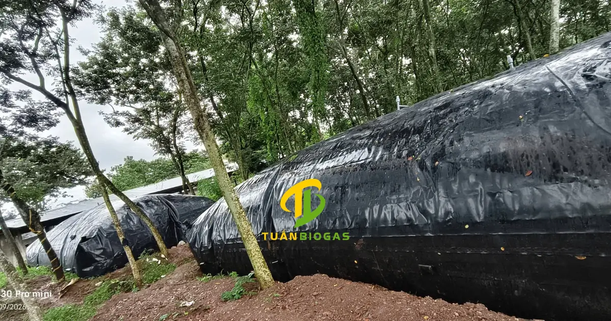 Bàn giao túi biogas vuông đúc sẵn theo kích thước yêu cầu cho khách hàng