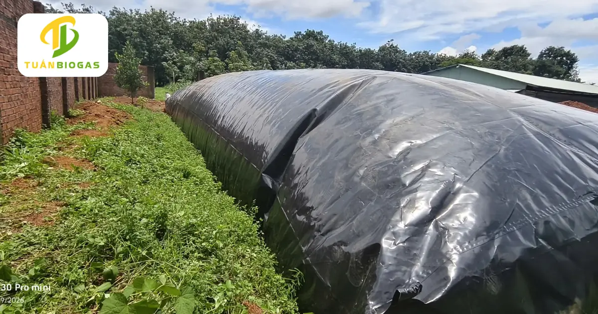 Bàn giao túi biogas tròn đúc sẵn hoàn thiện cho khách hàng nông thôn