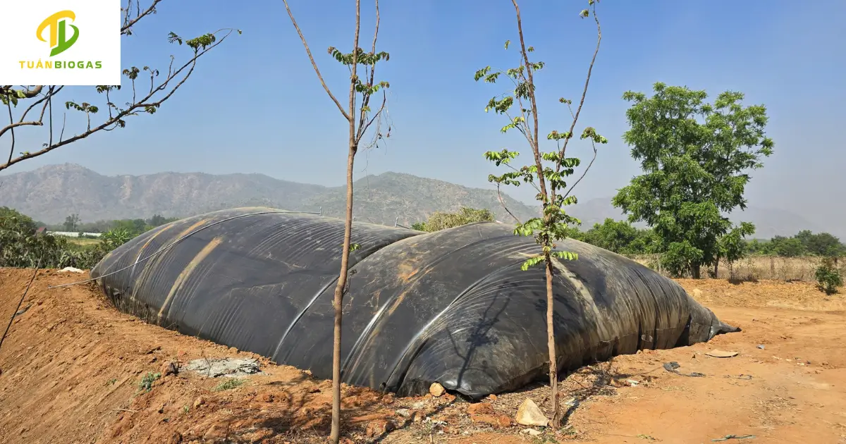 túi biogas tuấn biogas
