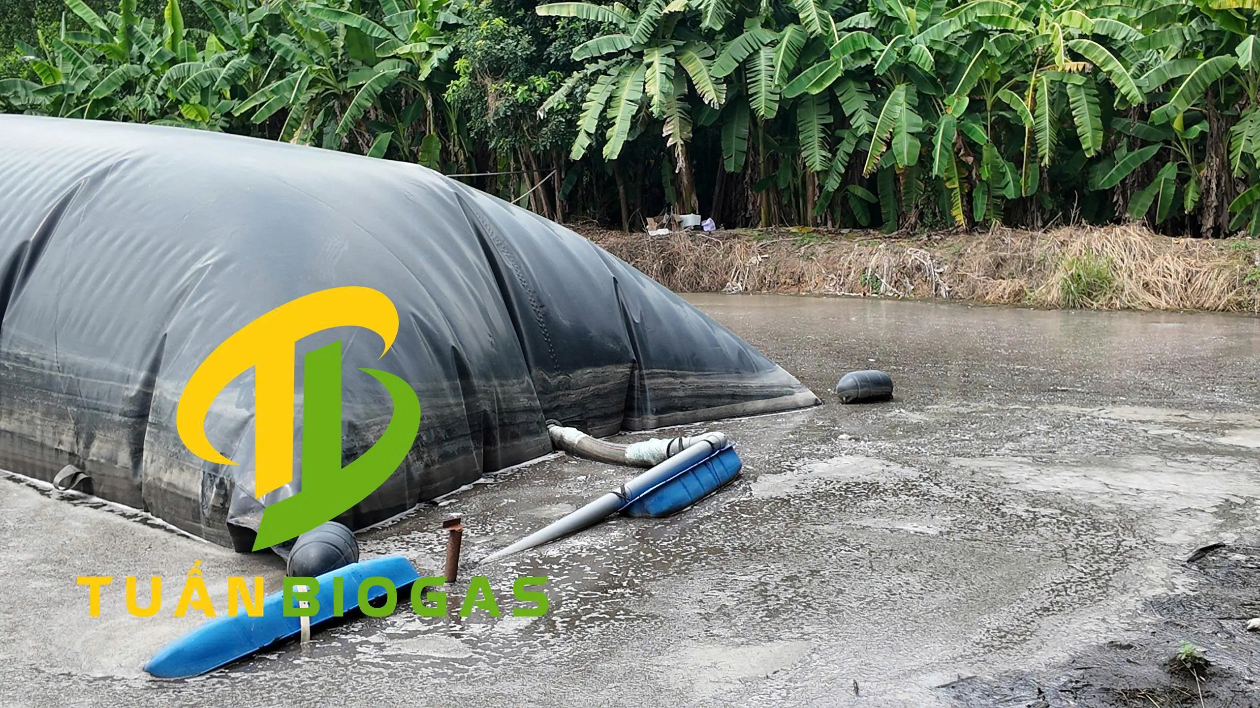 Kỹ thuật viên kiểm tra độ ổn định của túi biogas nổi trên mặt ao