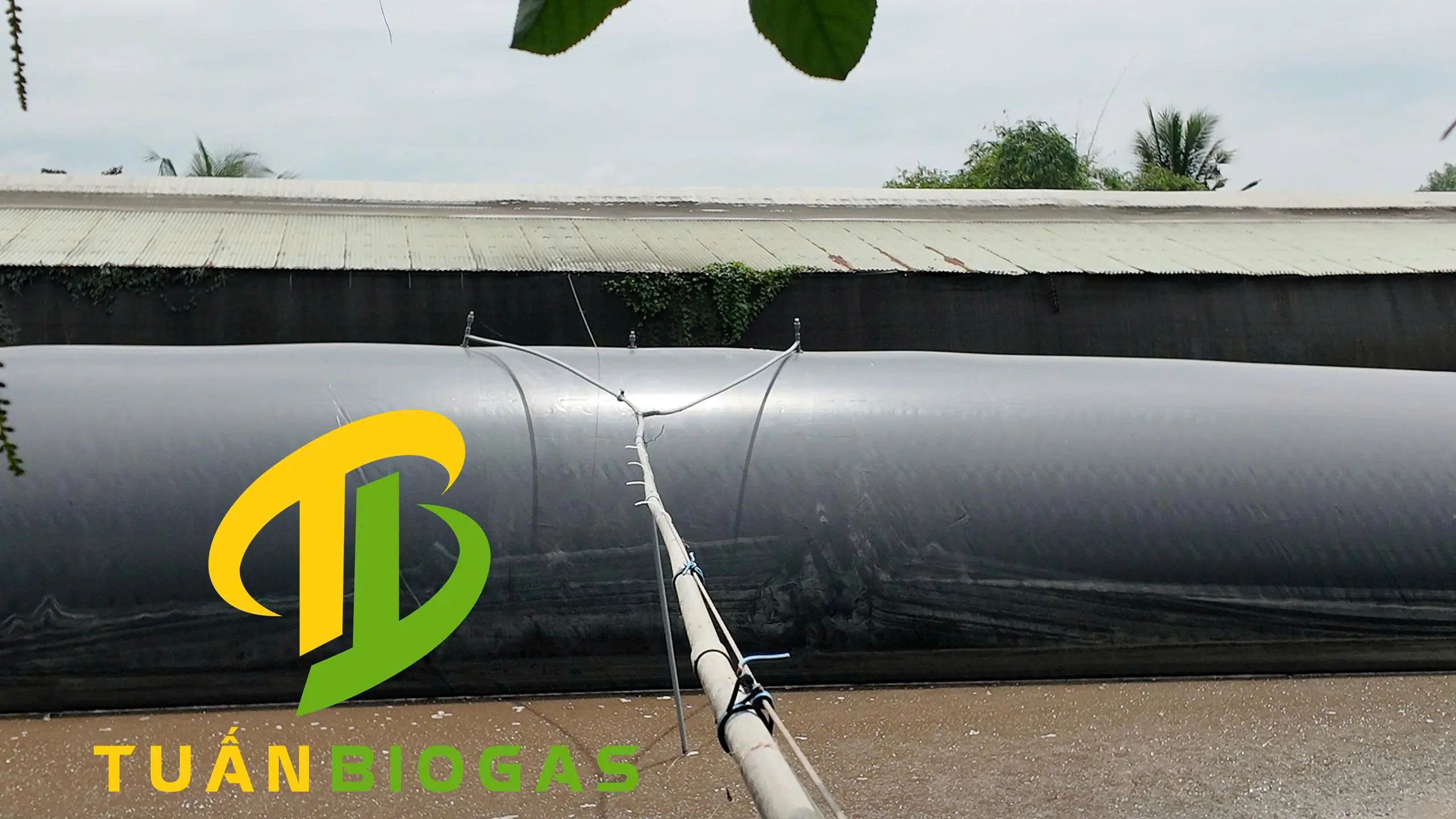 Van tự xả được lắp trên hệ thống túi biogas nổi trên ao