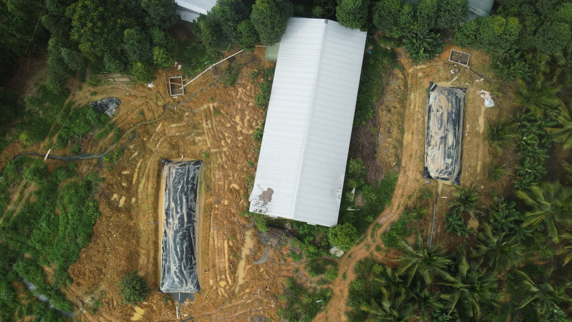 tui-biogas-trang-trai-heo-ga-vit