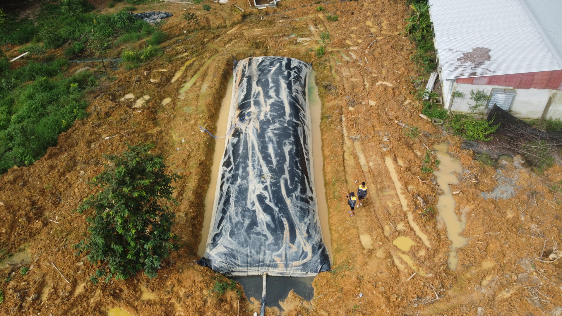 tui-biogas-trang-trai