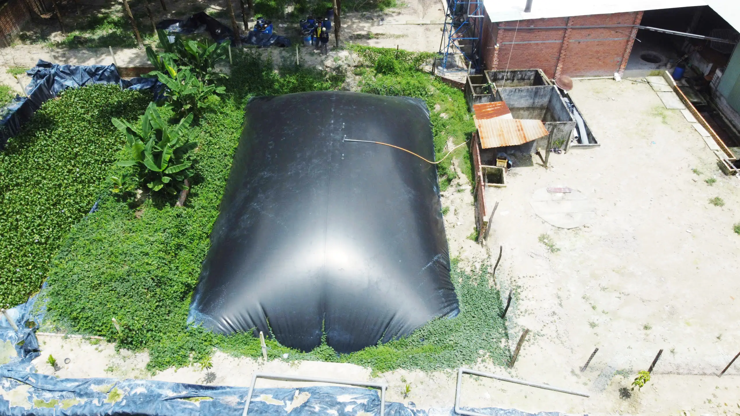 Báo Giá Túi Biogas Vuông Tuấn Biogas Mới Nhất 2026: Chi Phí Đầu Tư Cho Hộ Nông Dân Chăn Nuôi Nhỏ Lẻ Là Bao Nhiêu?