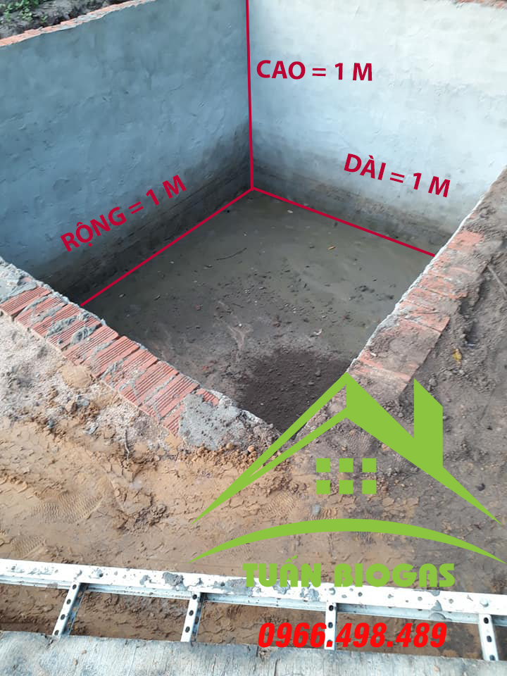 cau-tao-ho-lang-tui-bioga