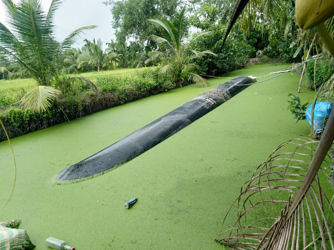 tui-biogas-noi-tren-mat-nuoc