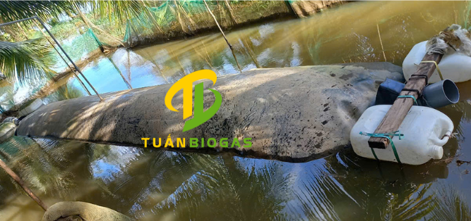 Biogas-tha-noi-tren-ao-o-Tien-Giang_667x314