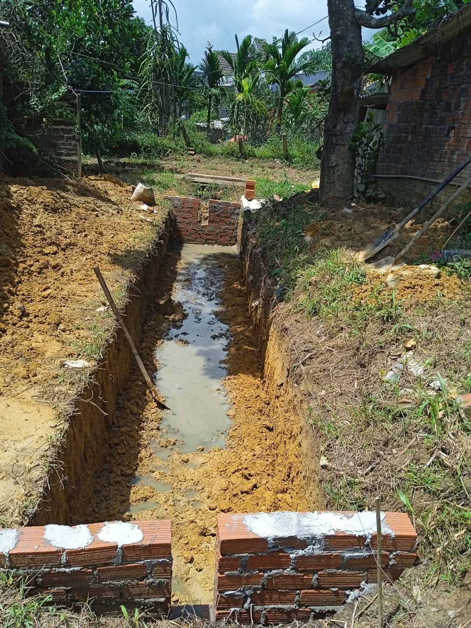 Ho-tui-bioags-dao-don-gian