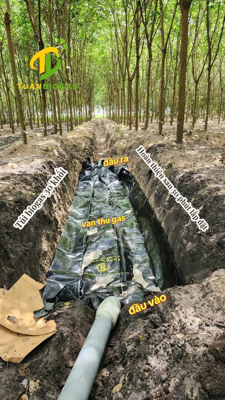 Tui-biogas-cho-heo-tren-ho