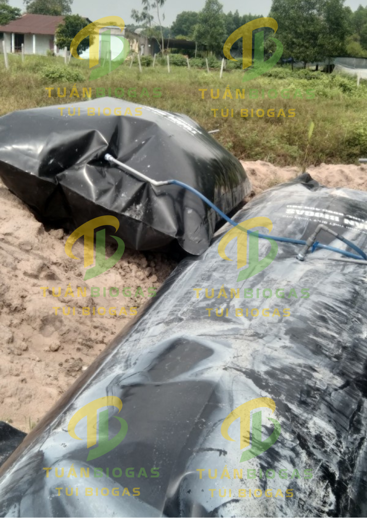 Tui-biogas-va-tui-tru-khi